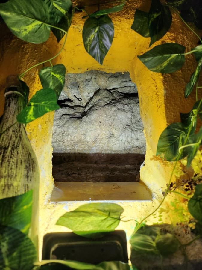 Апартаменты Casita Zamudio Setenil De Las Bodegas Экстерьер фото